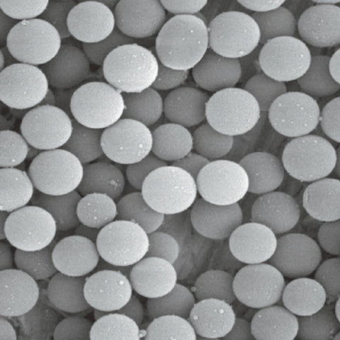 Amino Resions microspheres
