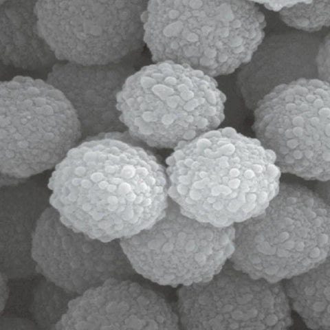 Heat Resistant PMMA Microspheres