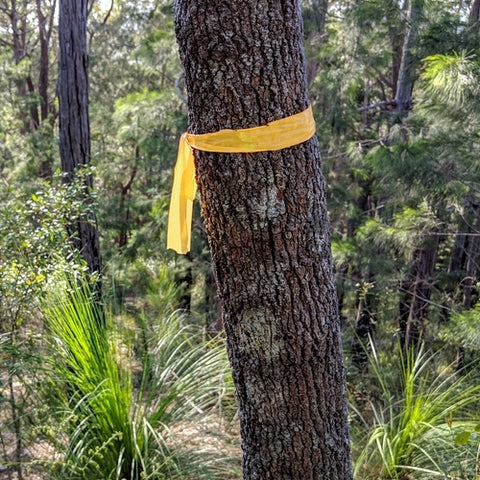 Yellow flagging tape