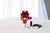 Mountlaser FDC062 Mini Prism Set 